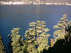 Xtrallusion photo gallery of Italy. Photos, pictures, images and photographs of the Italian Rivieras, the Italian Lakes, the Italian Alps, the Cinque Terre, the Amalfi coast and some of the most beautiful corners of Italy. Plus photos of Italian cities such as Pisa, Milan, Genoa and Rome.